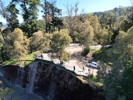 Talca cuenta con nueva ordenanza para el cuidado y protección de su Parque Bosque Municipal