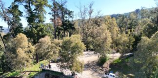 Talca cuenta con nueva ordenanza para el cuidado y protección de su Parque Bosque Municipal