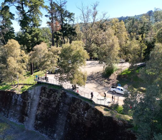 Talca cuenta con nueva ordenanza para el cuidado y protección de su Parque Bosque Municipal