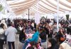 Fiesta Costumbrista del Chancho fortalece la economía local con positivo impacto en la hotelería y el emprendimiento